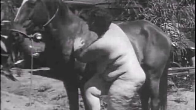 Kualitas HD :  Um cara latino fode com uma garota loira em vez de ajudar a encontrar o caminho de casa Video porno seksi 