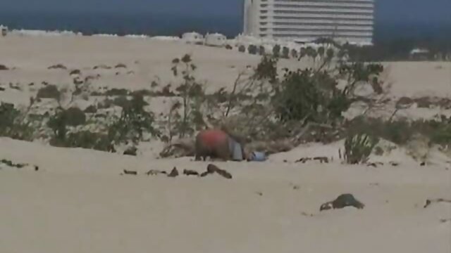 Kualitas HD :  A prostituta luxuriosa terá seu cu esticado por uma BBC Video porno seksi 