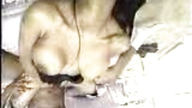 Kualitas HD :  Action ffm Threesome jeung hiji guy lucky jeung dua blondes sex crazed Video porno seksi 